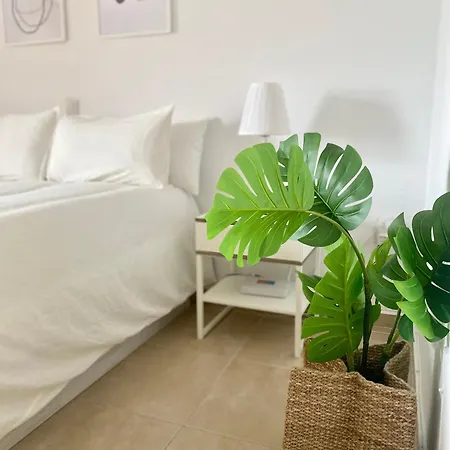 Apartment 520 Estudio En Minerva Vista Al Jardin - Playa A 700 Metros *